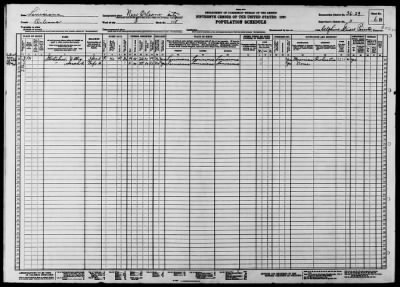 Thumbnail for NEW ORLEANS CITY, WARD 3 > 36-29