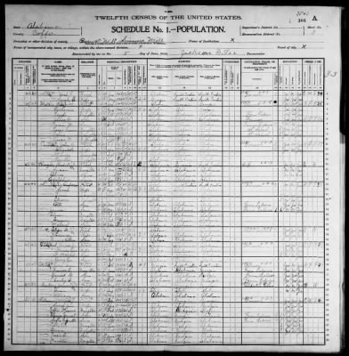 Precinct 11 Simmons Mill > 51