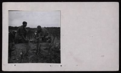 Thumbnail for CORONADO II, 9th Division > CC42863