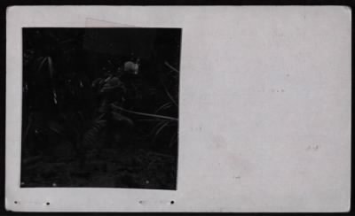 Thumbnail for CORONADO II, 9th Division > CC42872