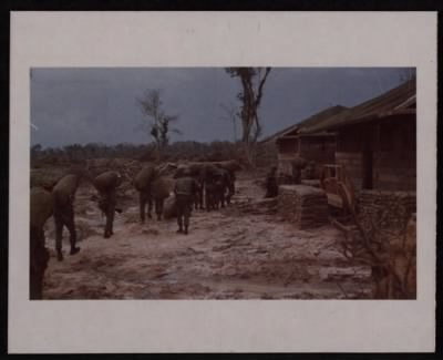 Thumbnail for Troops-Thailand > CC43294