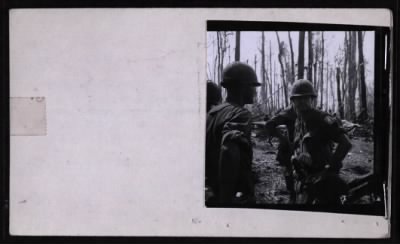 Thumbnail for 173rd Airborne Brigade 1967 > CC44251