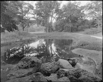 Thumbnail for Leon Abdalian Photographs > Willow Spring Pond