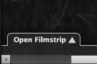 Thumbnail for Viewer Open Filmstrip Tab