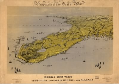 Thumbnail for Florida > Birds eye view of Florida and part of Georgia and Alabama Drawn from nature and lith. by John Bachmann.