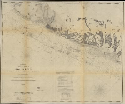 Thumbnail for Florida Keys > Preliminary coast chart ... Florida Reefs [on four sheets] From a trigonometrical survey under the direction of A. D. Bache, Superintendent of the survey of the coast of the United States.