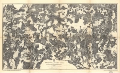 Thumbnail for Jetersville and Saylers Creek > Jetersville and Sailors Creek. [1865] / from surveys under the direction of Bvt. Brig. Gen. N. Michler, Maj. of Engineers, by command of Bvt. Maj. Genl. A. A. Humphreys, Brig. Genl. & Chief of Engineers. Surveyed & drawn by M