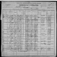 1900 Census