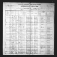 1900 Census