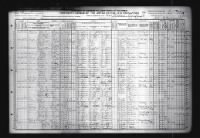 1910 Census