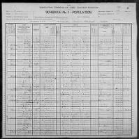 1900 Census