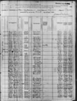 1880 US Census