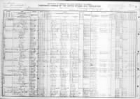 1910 US Census