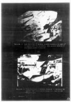 Thumbnail for USS HELENA - Torpedo & Bomb Damage, 12/7/41, Pearl Harbor - Page 20