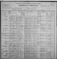 1900 US Census