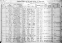 1910 US Census