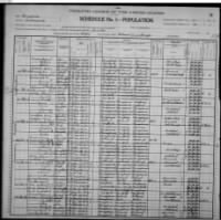 1900 US Census