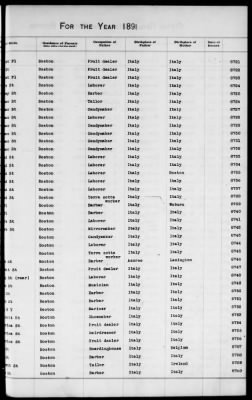 Thumbnail for Boston Births, 1882-1895 > Boston Births, 1891