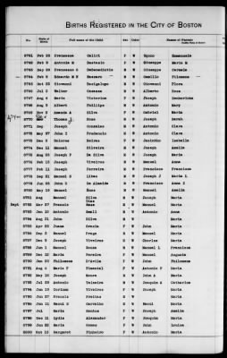 Thumbnail for Boston Births, 1882-1895 > Boston Births, 1891