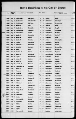 Thumbnail for Boston Births, 1882-1895 > Boston Births, 1891