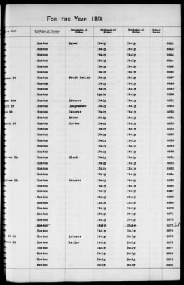 Thumbnail for Boston Births, 1882-1895 > Boston Births, 1891