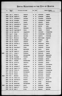 Thumbnail for Boston Births, 1882-1895 > Boston Births, 1891