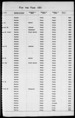 Thumbnail for Boston Births, 1882-1895 > Boston Births, 1891