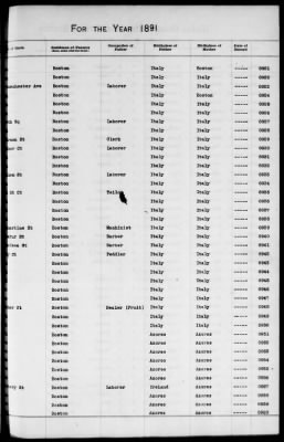 Thumbnail for Boston Births, 1882-1895 > Boston Births, 1891