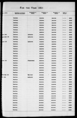 Thumbnail for Boston Births, 1882-1895 > Boston Births, 1891