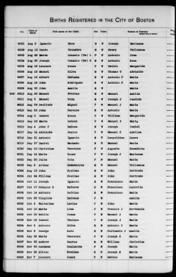 Thumbnail for Boston Births, 1882-1895 > Boston Births, 1891