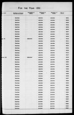 Thumbnail for Boston Births, 1882-1895 > Boston Births, 1891