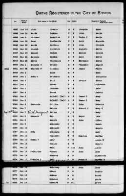 Thumbnail for Boston Births, 1882-1895 > Boston Births, 1891