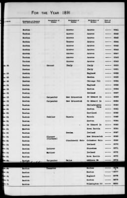 Thumbnail for Boston Births, 1882-1895 > Boston Births, 1891