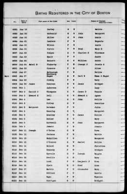 Thumbnail for Boston Births, 1882-1895 > Boston Births, 1891