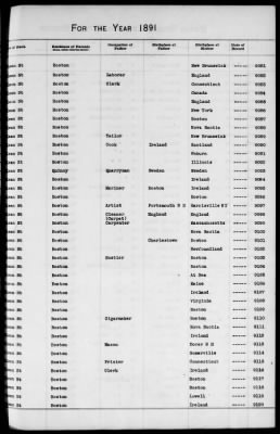 Thumbnail for Boston Births, 1882-1895 > Boston Births, 1891