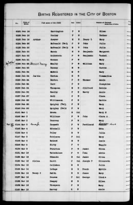 Thumbnail for Boston Births, 1882-1895 > Boston Births, 1891