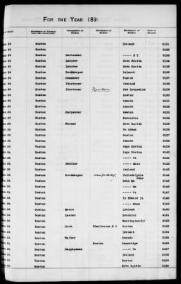 Thumbnail for Boston Births, 1882-1895 > Boston Births, 1891