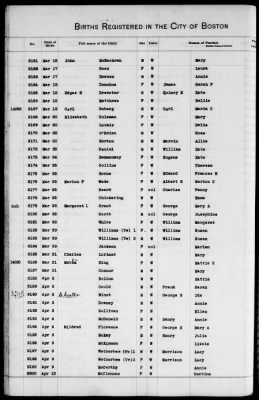 Thumbnail for Boston Births, 1882-1895 > Boston Births, 1891