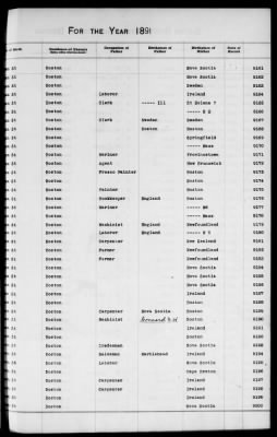 Thumbnail for Boston Births, 1882-1895 > Boston Births, 1891