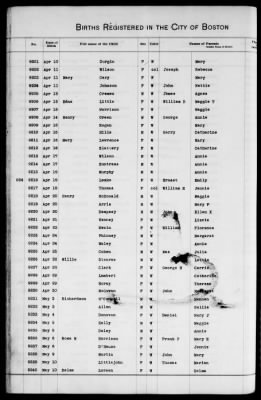 Thumbnail for Boston Births, 1882-1895 > Boston Births, 1891