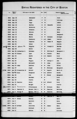 Thumbnail for Boston Births, 1882-1895 > Boston Births, 1891