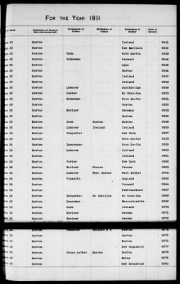 Thumbnail for Boston Births, 1882-1895 > Boston Births, 1891