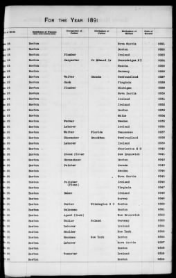 Thumbnail for Boston Births, 1882-1895 > Boston Births, 1891