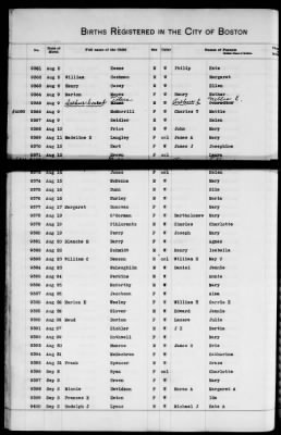 Thumbnail for Boston Births, 1882-1895 > Boston Births, 1891