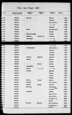 Thumbnail for Boston Births, 1882-1895 > Boston Births, 1891