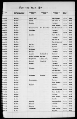 Thumbnail for Boston Births, 1882-1895 > Boston Births, 1891