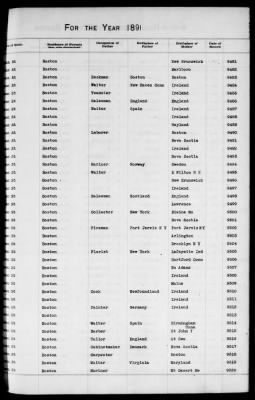 Thumbnail for Boston Births, 1882-1895 > Boston Births, 1891