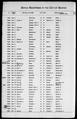 Thumbnail for Boston Births, 1882-1895 > Boston Births, 1891