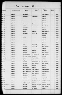 Thumbnail for Boston Births, 1882-1895 > Boston Births, 1891