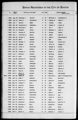 Thumbnail for Boston Births, 1882-1895 > Boston Births, 1891